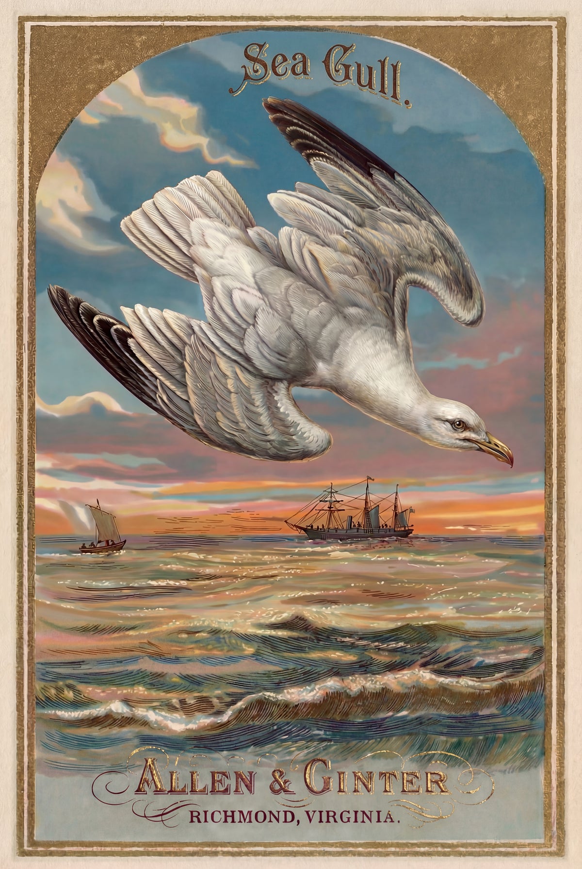 Birds of America (1888) Allen & Ginter | Pack of 10 Stationary Trading Cards (1 Design per Pack)