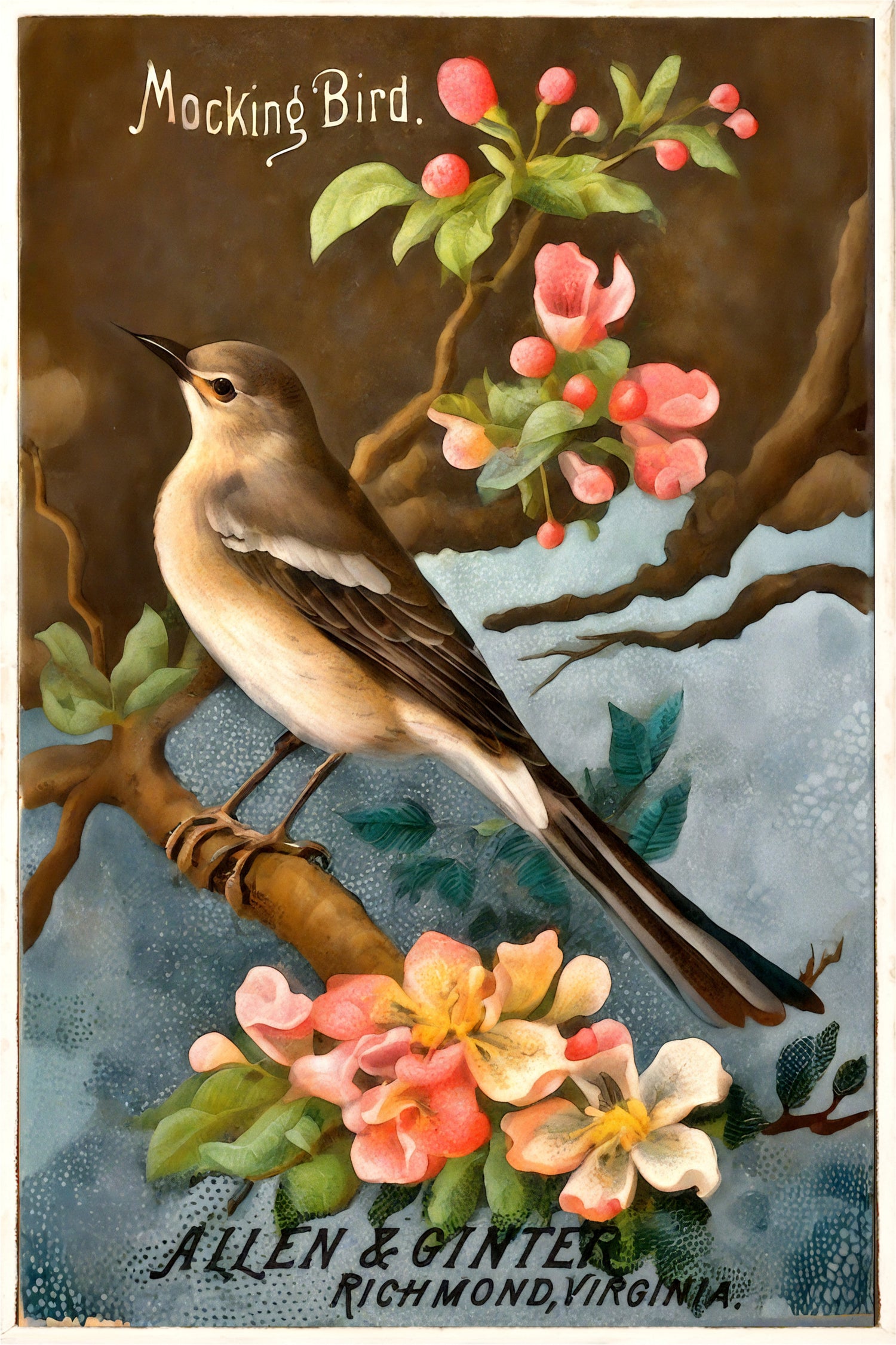 Allen & Ginter Bird Series, 1888