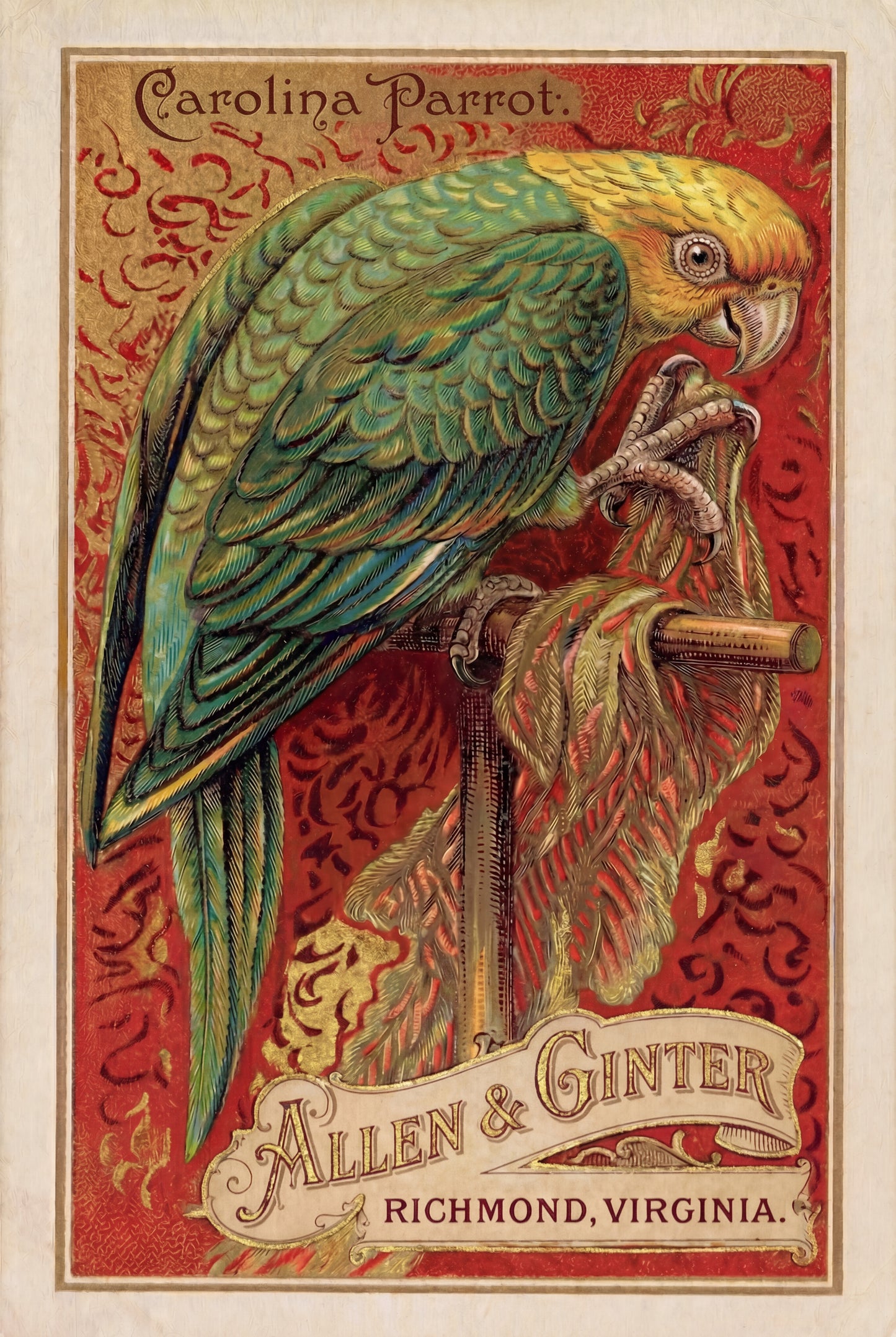 Birds of America (1888) Allen & Ginter | Pack of 10 Stationary Trading Cards (1 Design per Pack)