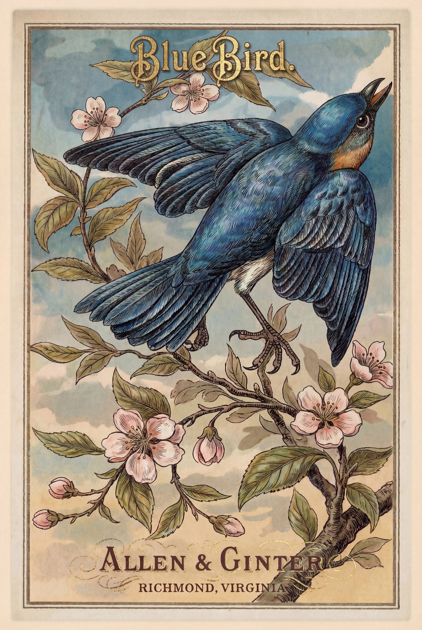 Birds of America (1888) Allen & Ginter | Pack of 10 Stationary Trading Cards (1 Design per Pack)