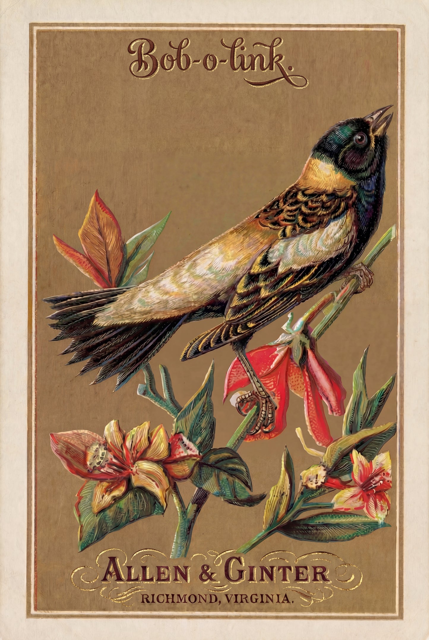Birds of America (1888) Allen & Ginter | Pack of 10 Stationary Trading Cards (1 Design per Pack)