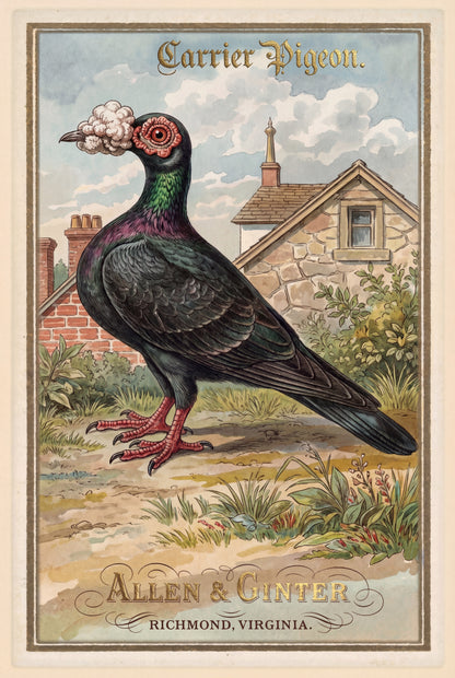 Birds of America (1888) Allen & Ginter | Pack of 10 Stationary Trading Cards (1 Design per Pack)