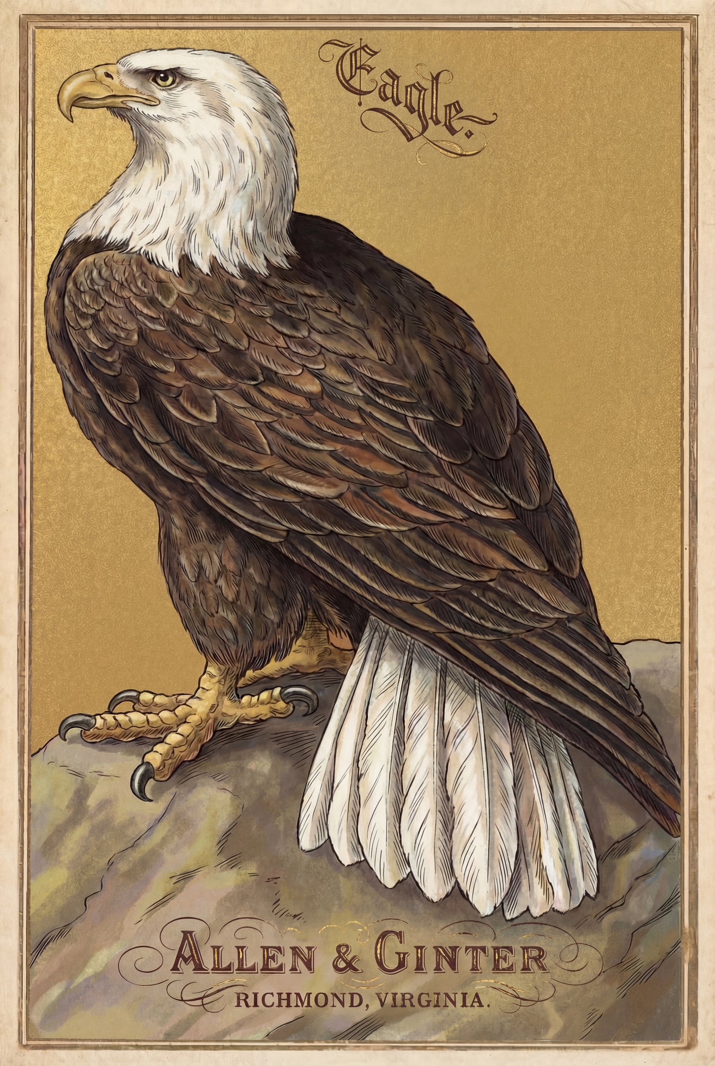 Birds of America (1888) Allen & Ginter | Pack of 10 Stationary Trading Cards (1 Design per Pack)