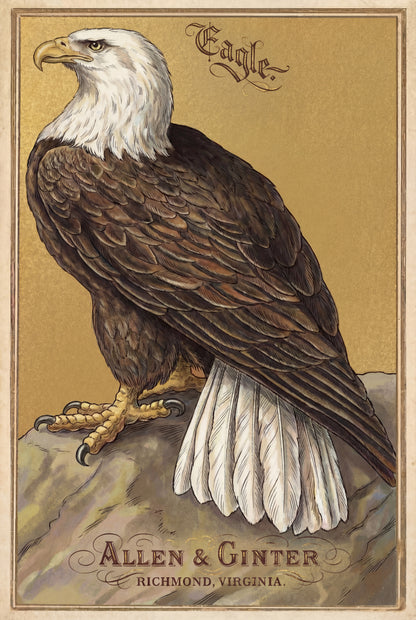 Birds of America (1888) Allen & Ginter | Pack of 10 Stationary Trading Cards (1 Design per Pack)