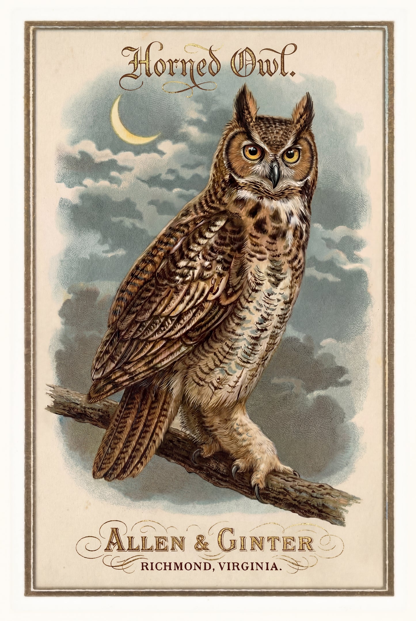 Birds of America (1888) Allen & Ginter | Pack of 10 Stationary Trading Cards (1 Design per Pack)