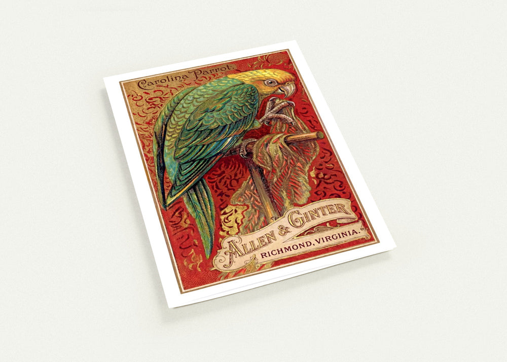 Birds of America (1888) Allen & Ginter | Pack of 10 Stationary Trading Cards (1 Design per Pack)