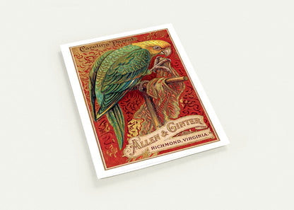 Birds of America (1888) Allen & Ginter | Pack of 10 Stationary Trading Cards (1 Design per Pack)