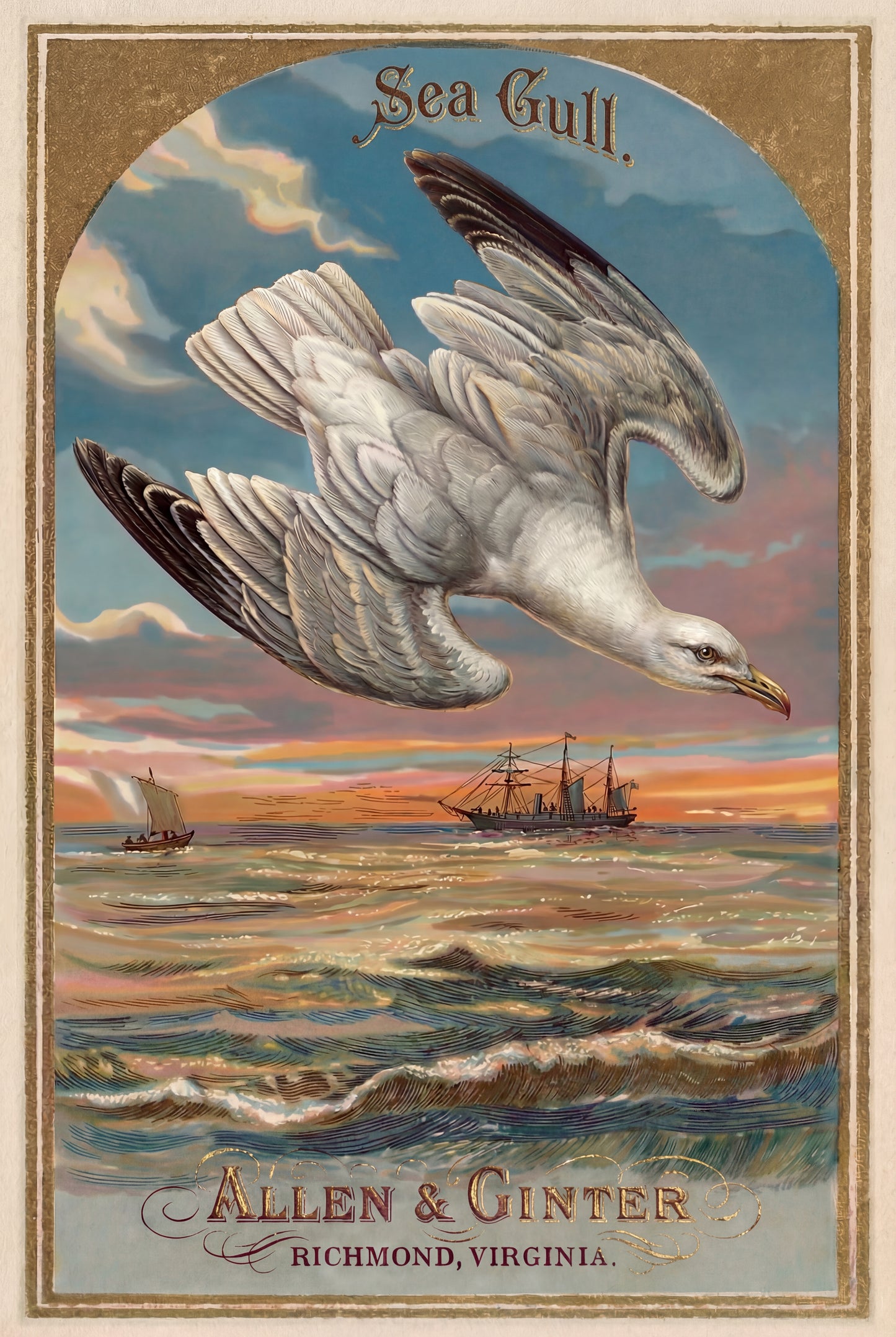 Birds of America (1888) Allen & Ginter | Pack of 10 Stationary Trading Cards (1 Design per Pack)
