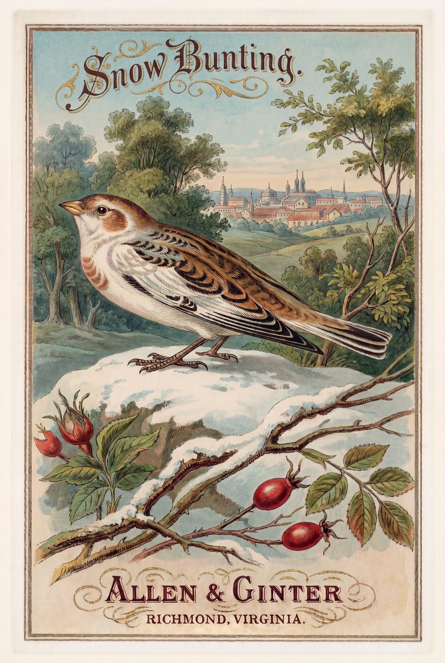 Birds of America (1888) Allen & Ginter | Pack of 10 Stationary Trading Cards (1 Design per Pack)