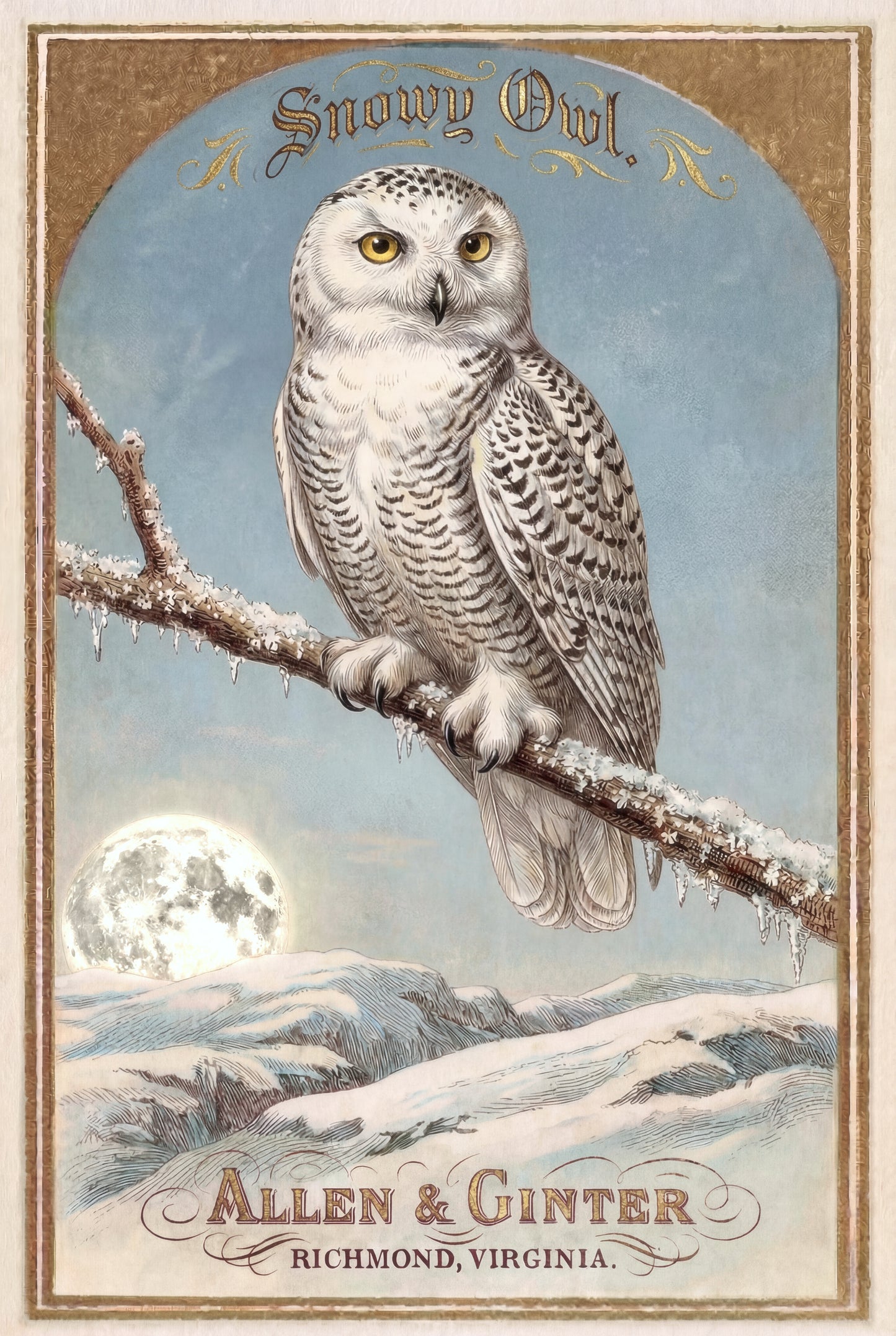 Birds of America (1888) Allen & Ginter | Pack of 10 Stationary Trading Cards (1 Design per Pack)