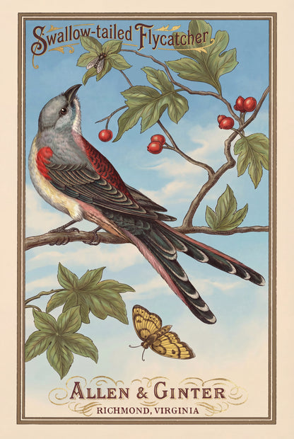 Birds of America (1888) Allen & Ginter | Pack of 10 Stationary Trading Cards (1 Design per Pack)