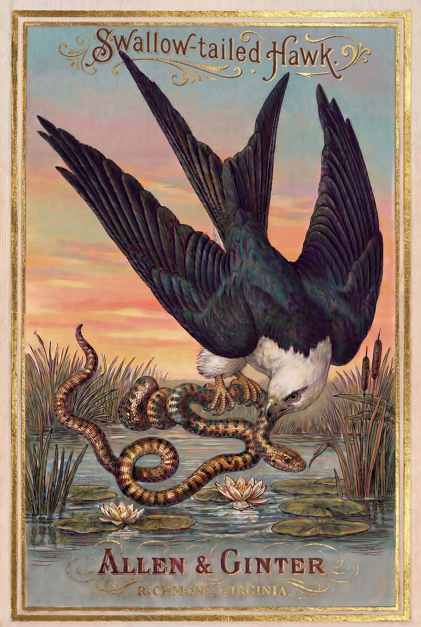 Birds of America (1888) Allen & Ginter | Pack of 10 Stationary Trading Cards (1 Design per Pack)