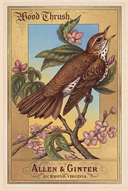 Birds of America (1888) Allen & Ginter | Pack of 10 Stationary Trading Cards (1 Design per Pack)
