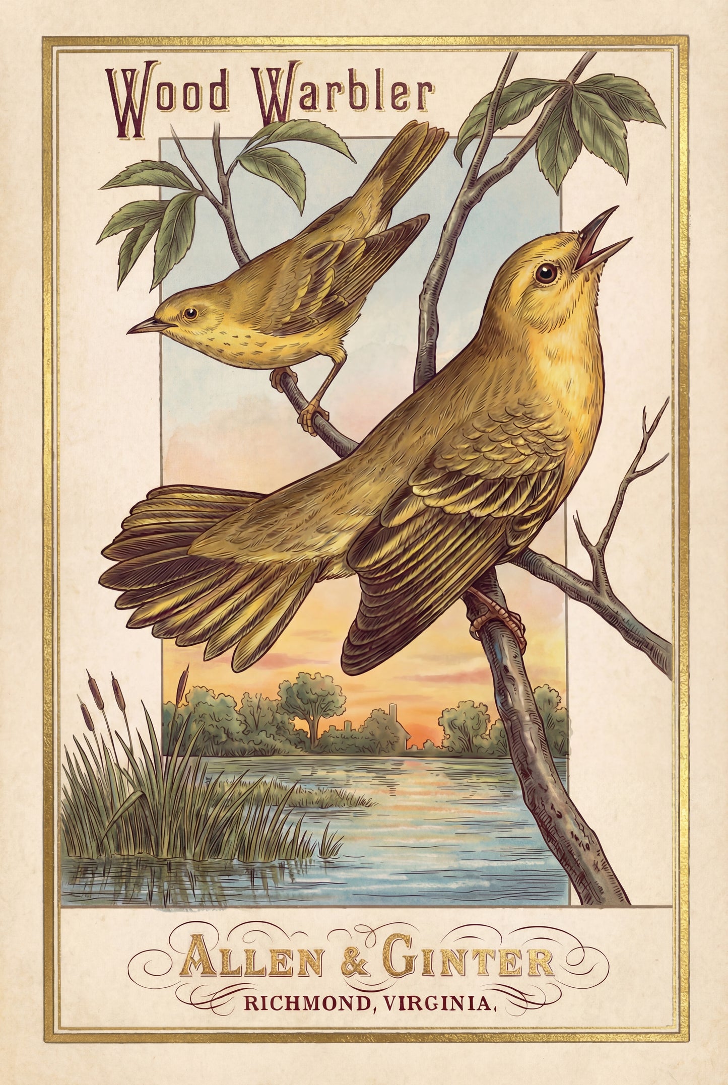 Birds of America (1888) Allen & Ginter | Pack of 10 Stationary Trading Cards (1 Design per Pack)