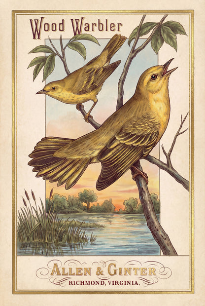 Birds of America (1888) Allen & Ginter | Pack of 10 Stationary Trading Cards (1 Design per Pack)