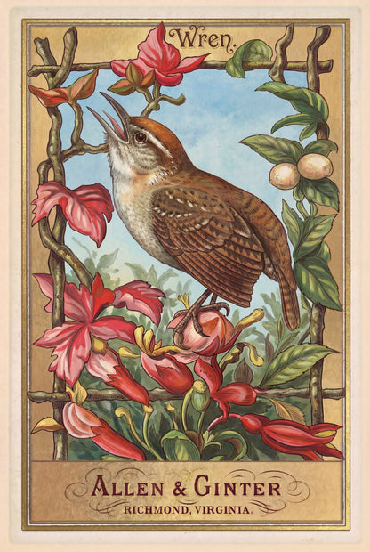 Birds of America (1888) Allen & Ginter | Pack of 10 Stationary Trading Cards (1 Design per Pack)